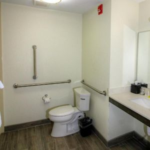 Queen Studio Suite Hearing Accessible Roll Shower Non-Smoking